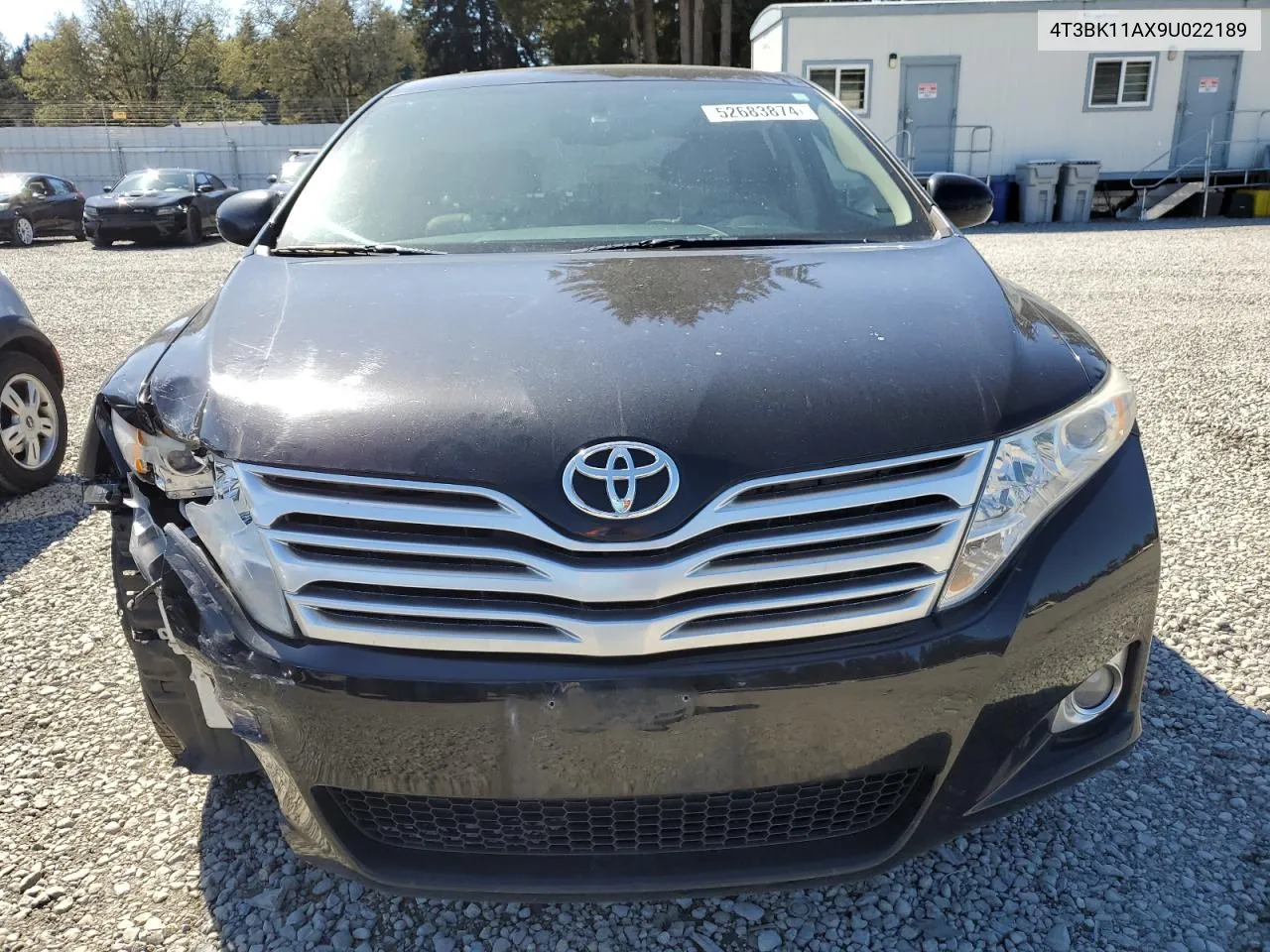 2009 Toyota Venza VIN: 4T3BK11AX9U022189 Lot: 52683874