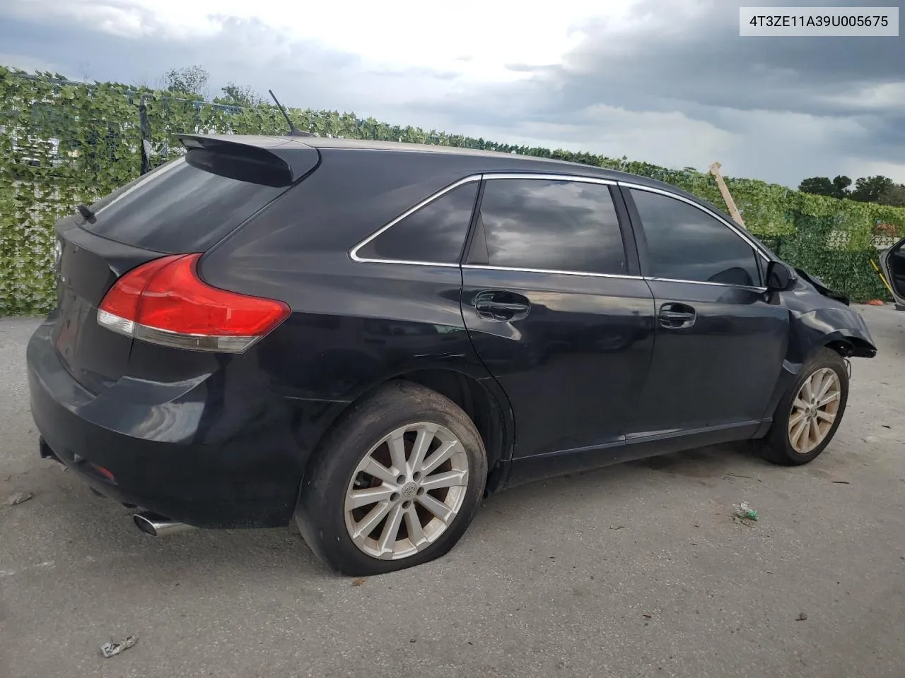 2009 Toyota Venza VIN: 4T3ZE11A39U005675 Lot: 59055514