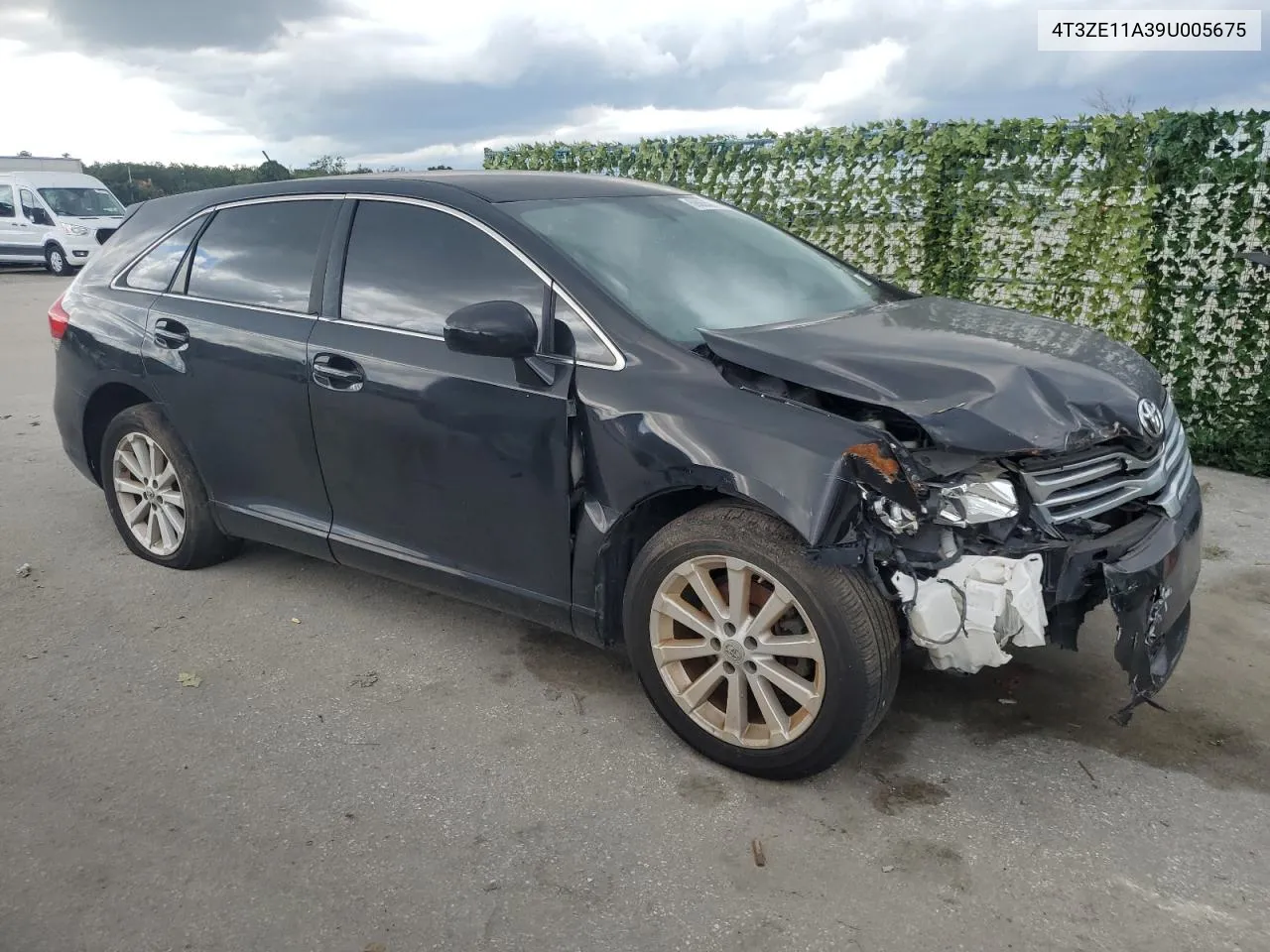 2009 Toyota Venza VIN: 4T3ZE11A39U005675 Lot: 59055514