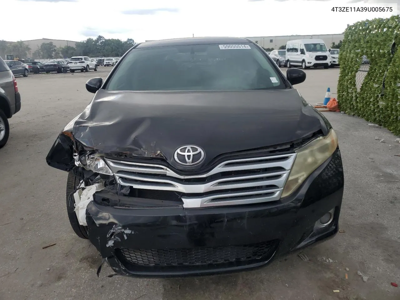 2009 Toyota Venza VIN: 4T3ZE11A39U005675 Lot: 59055514