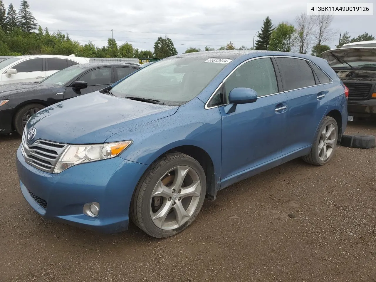 2009 Toyota Venza VIN: 4T3BK11A49U019126 Lot: 66813914