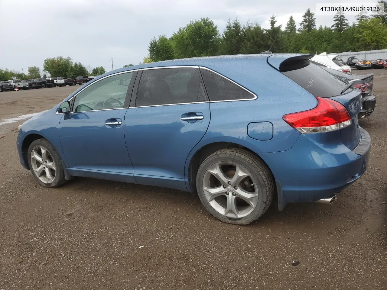 2009 Toyota Venza VIN: 4T3BK11A49U019126 Lot: 66813914