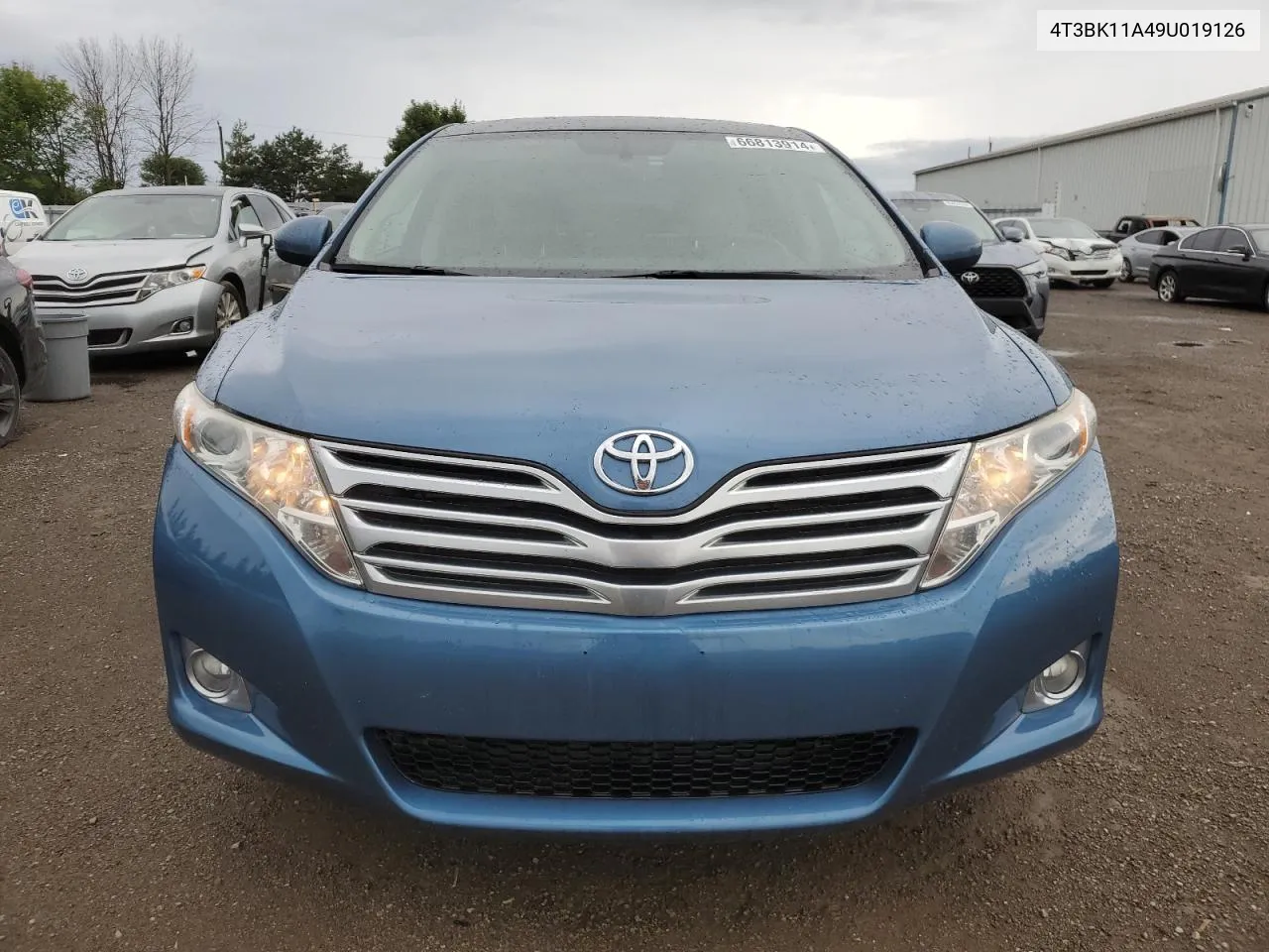 2009 Toyota Venza VIN: 4T3BK11A49U019126 Lot: 66813914