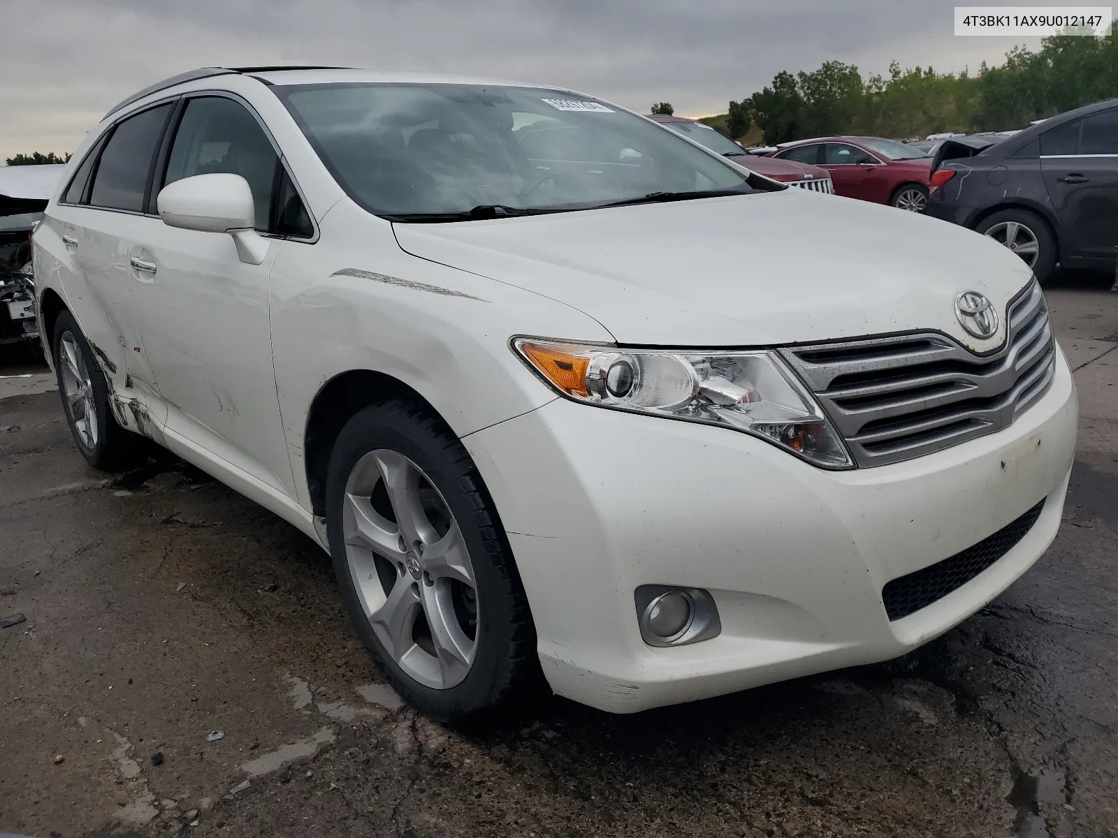 4T3BK11AX9U012147 2009 Toyota Venza