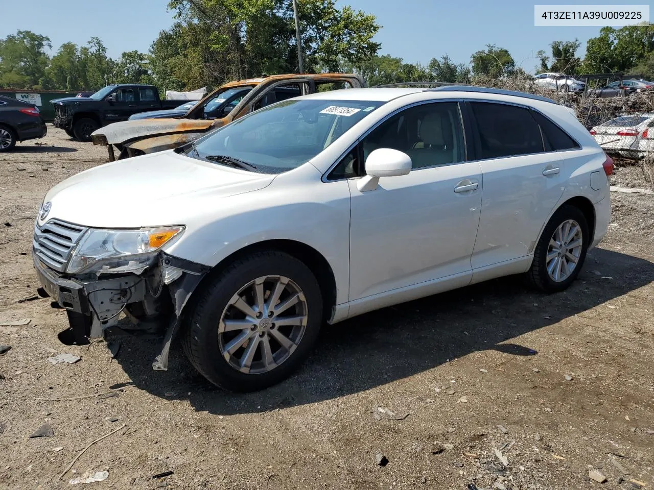 2009 Toyota Venza VIN: 4T3ZE11A39U009225 Lot: 68971354