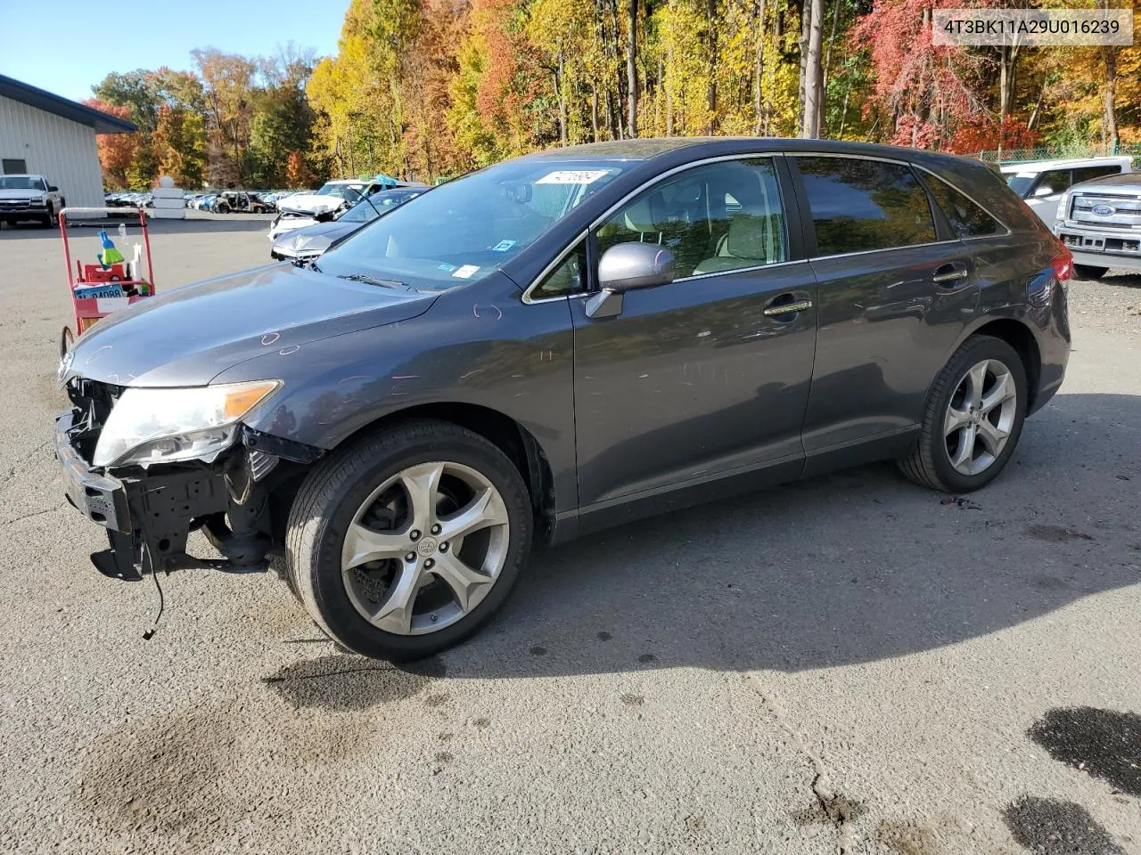 2009 Toyota Venza VIN: 4T3BK11A29U016239 Lot: 74018984