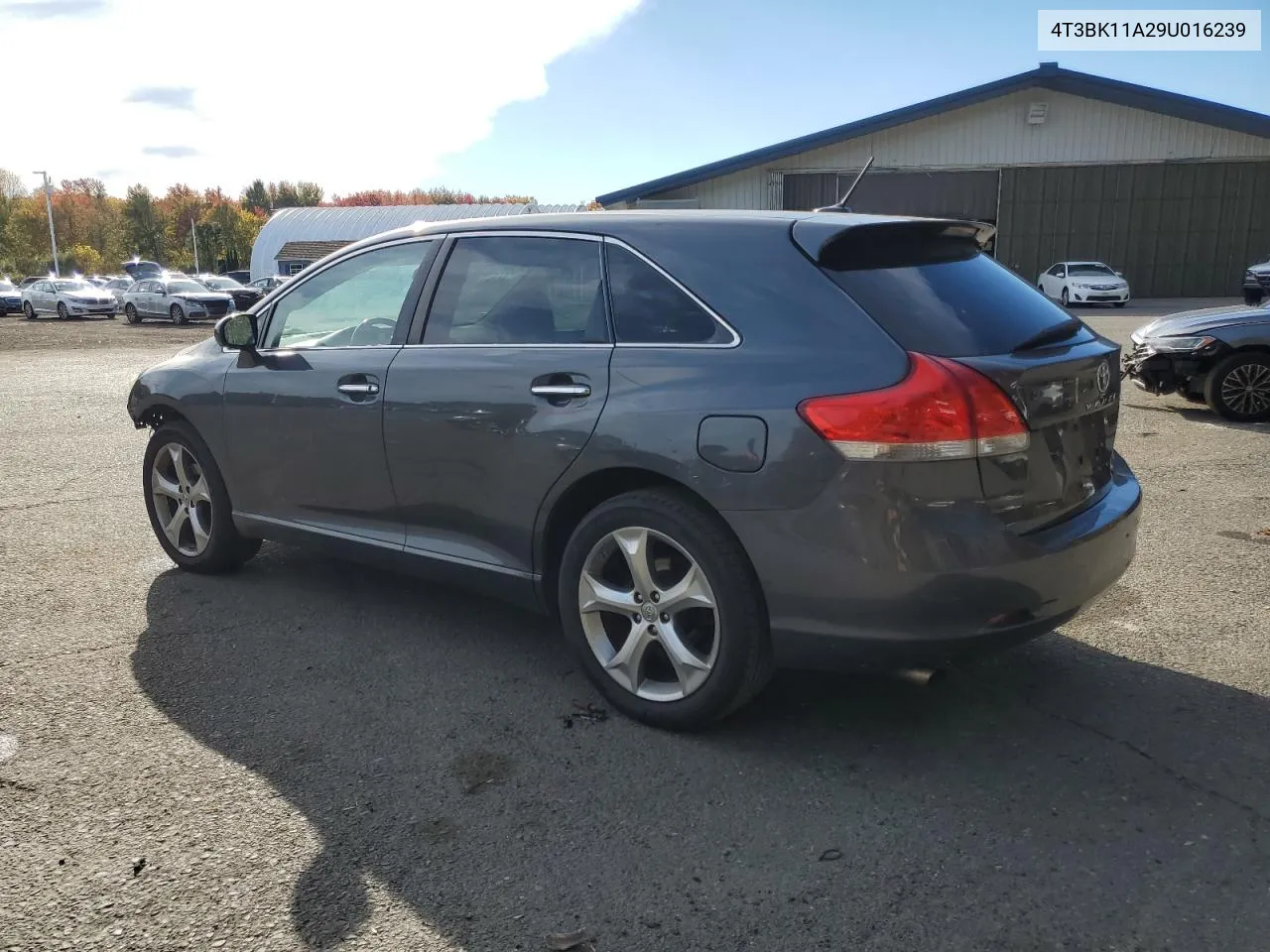 2009 Toyota Venza VIN: 4T3BK11A29U016239 Lot: 74018984