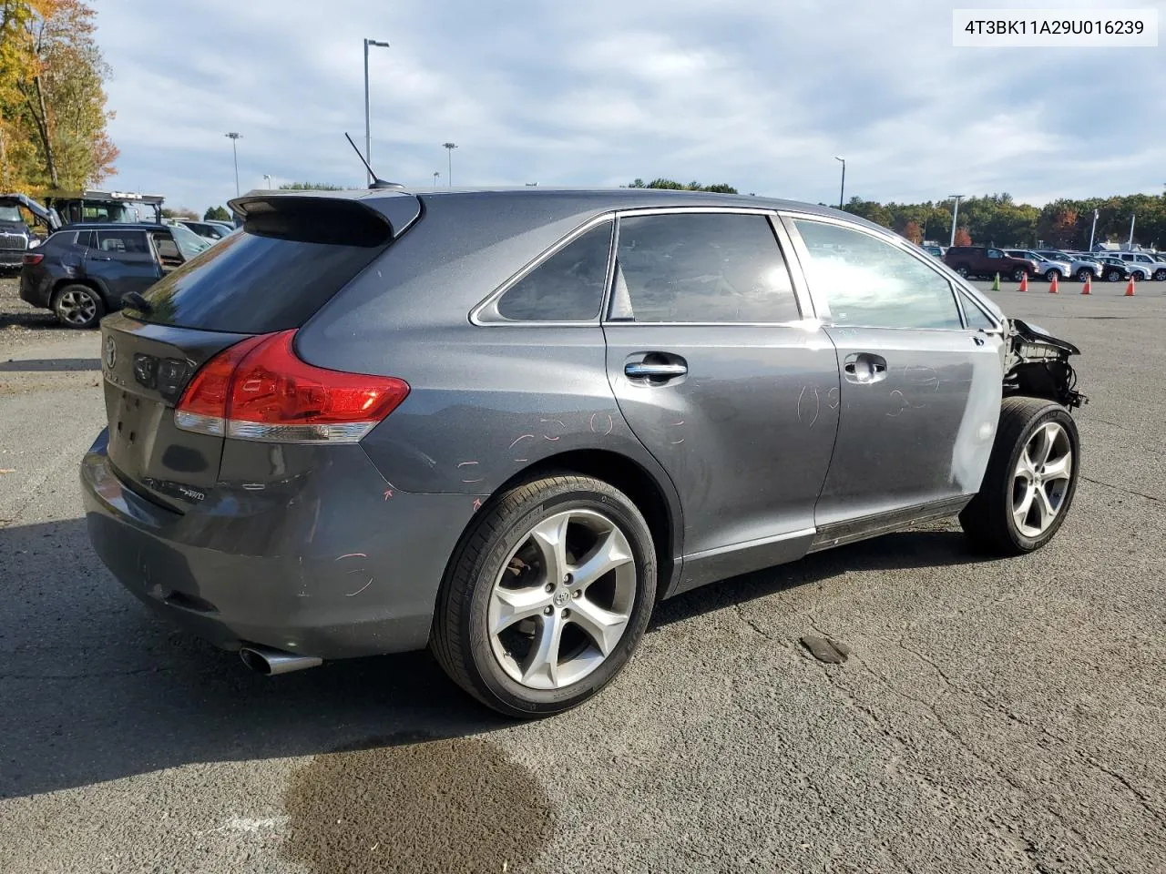 2009 Toyota Venza VIN: 4T3BK11A29U016239 Lot: 74018984