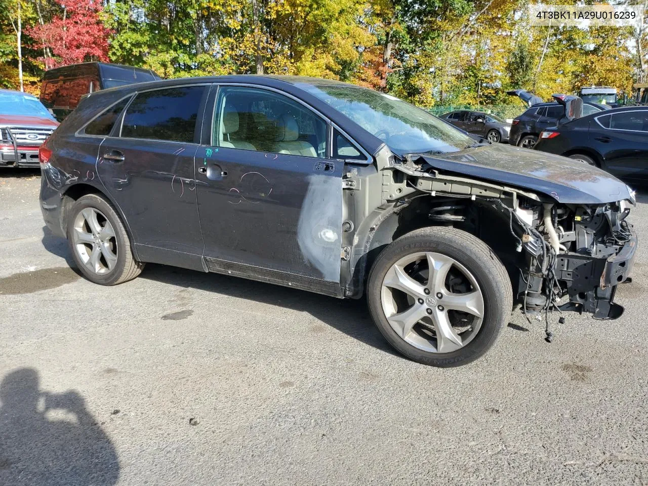 2009 Toyota Venza VIN: 4T3BK11A29U016239 Lot: 74018984