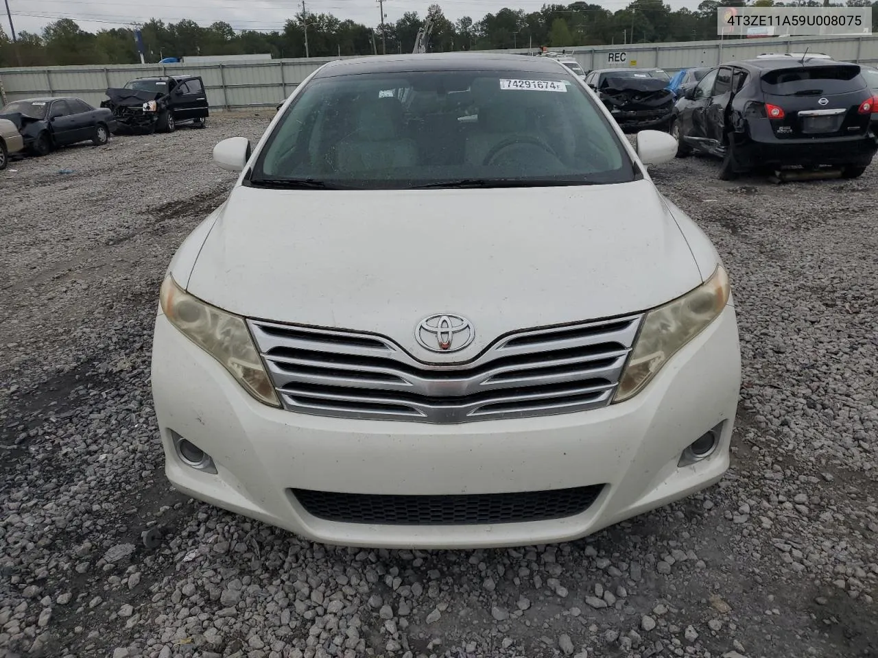 2009 Toyota Venza VIN: 4T3ZE11A59U008075 Lot: 74291674