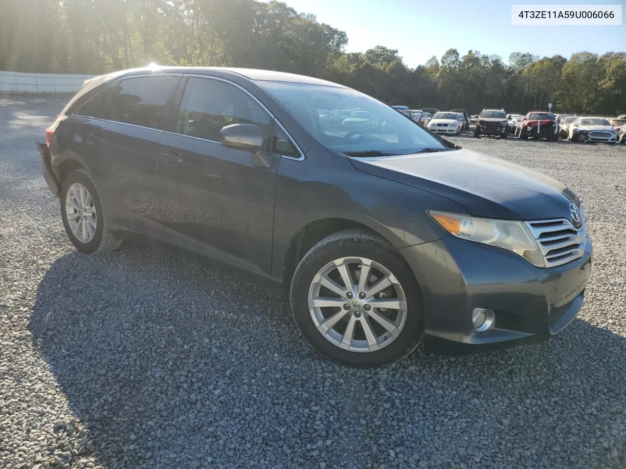 2009 Toyota Venza VIN: 4T3ZE11A59U006066 Lot: 75620314