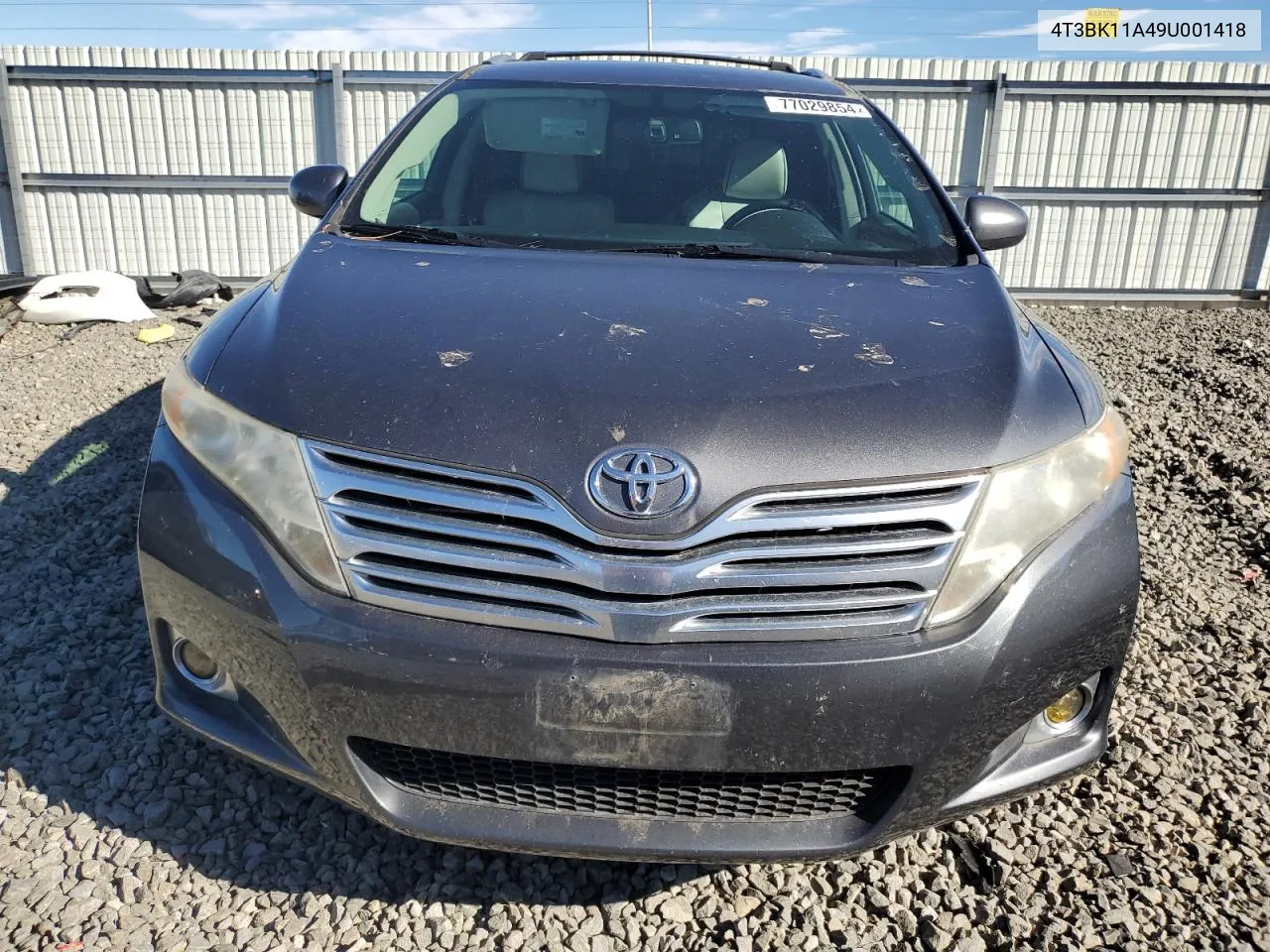 2009 Toyota Venza VIN: 4T3BK11A49U001418 Lot: 77029854