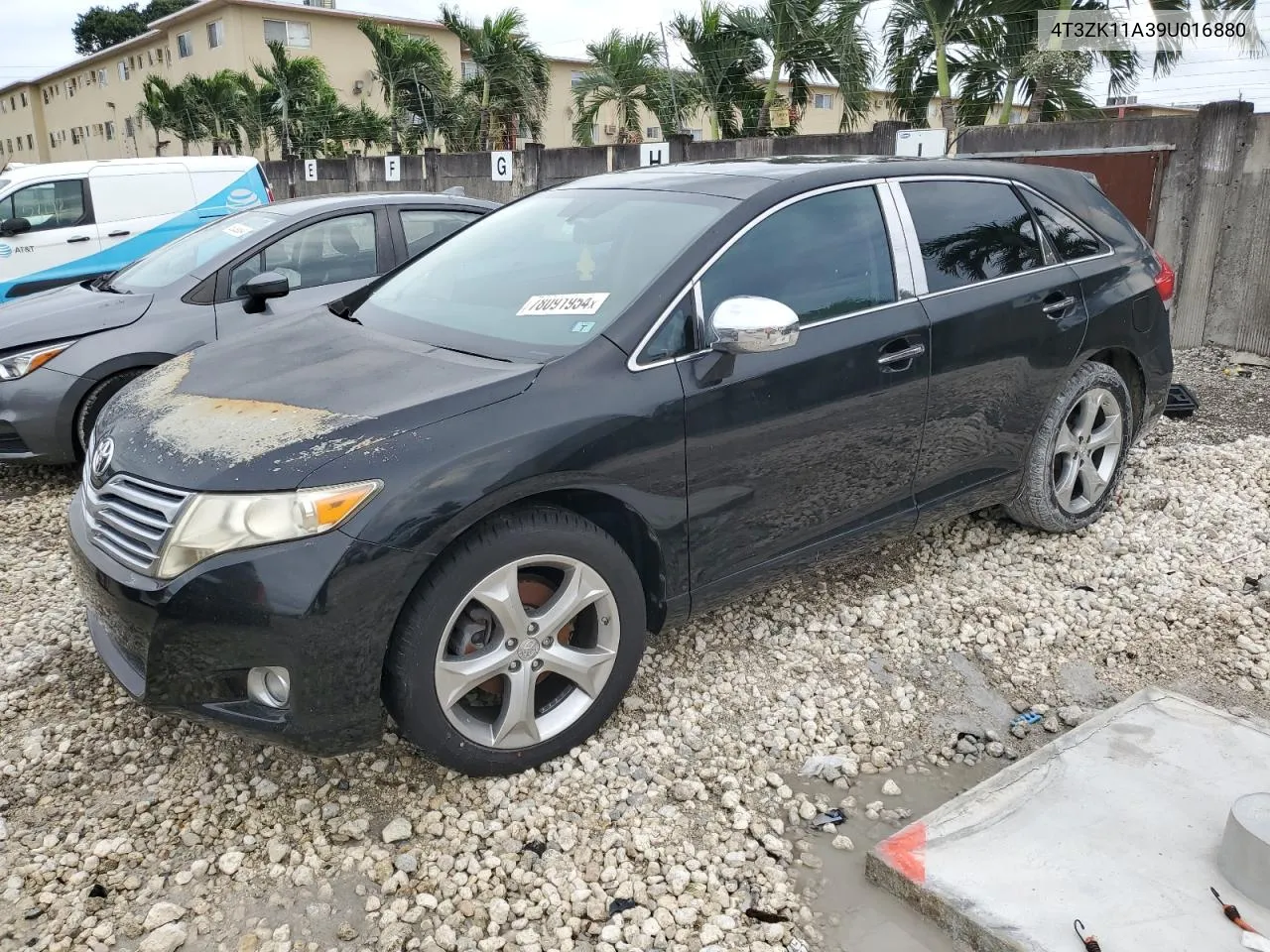 2009 Toyota Venza VIN: 4T3ZK11A39U016880 Lot: 78091954