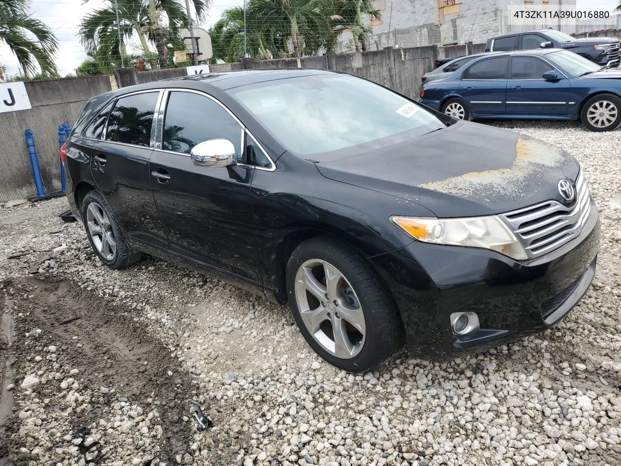 2009 Toyota Venza VIN: 4T3ZK11A39U016880 Lot: 78091954