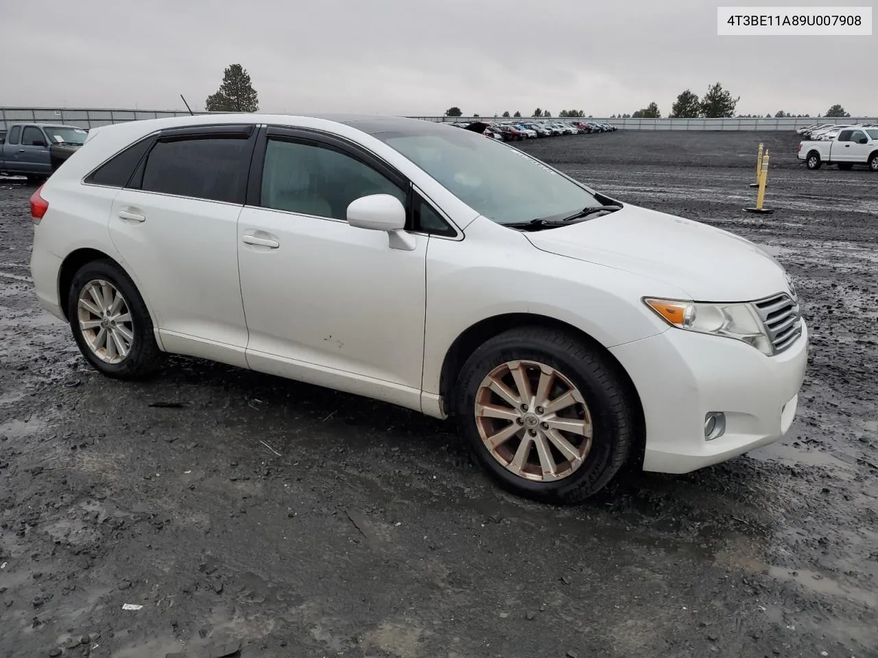 2009 Toyota Venza VIN: 4T3BE11A89U007908 Lot: 78217704