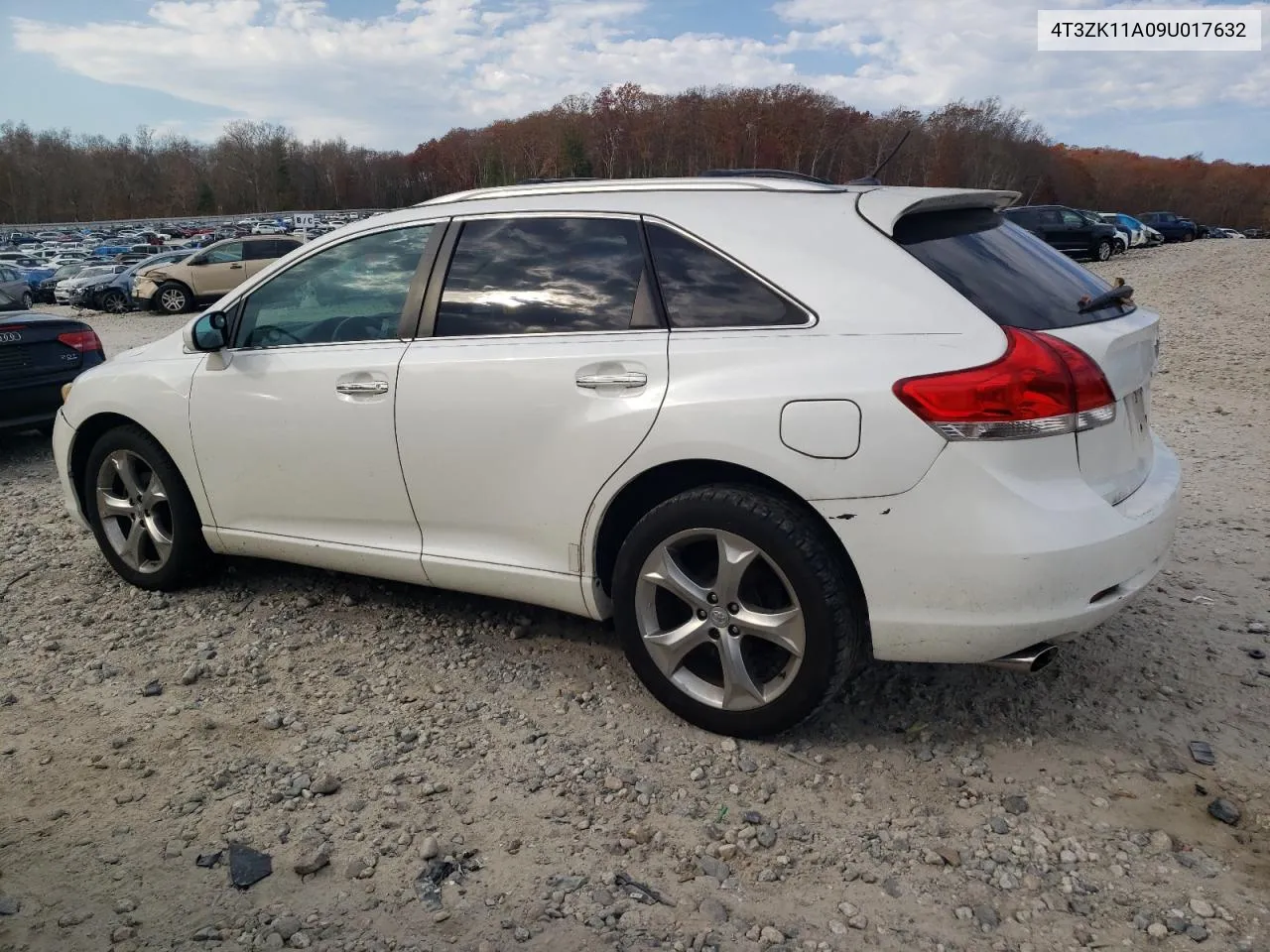 2009 Toyota Venza VIN: 4T3ZK11A09U017632 Lot: 78735474