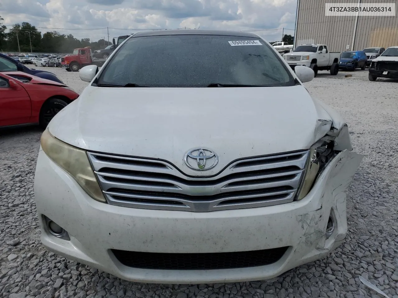 2010 Toyota Venza VIN: 4T3ZA3BB1AU036314 Lot: 69495494