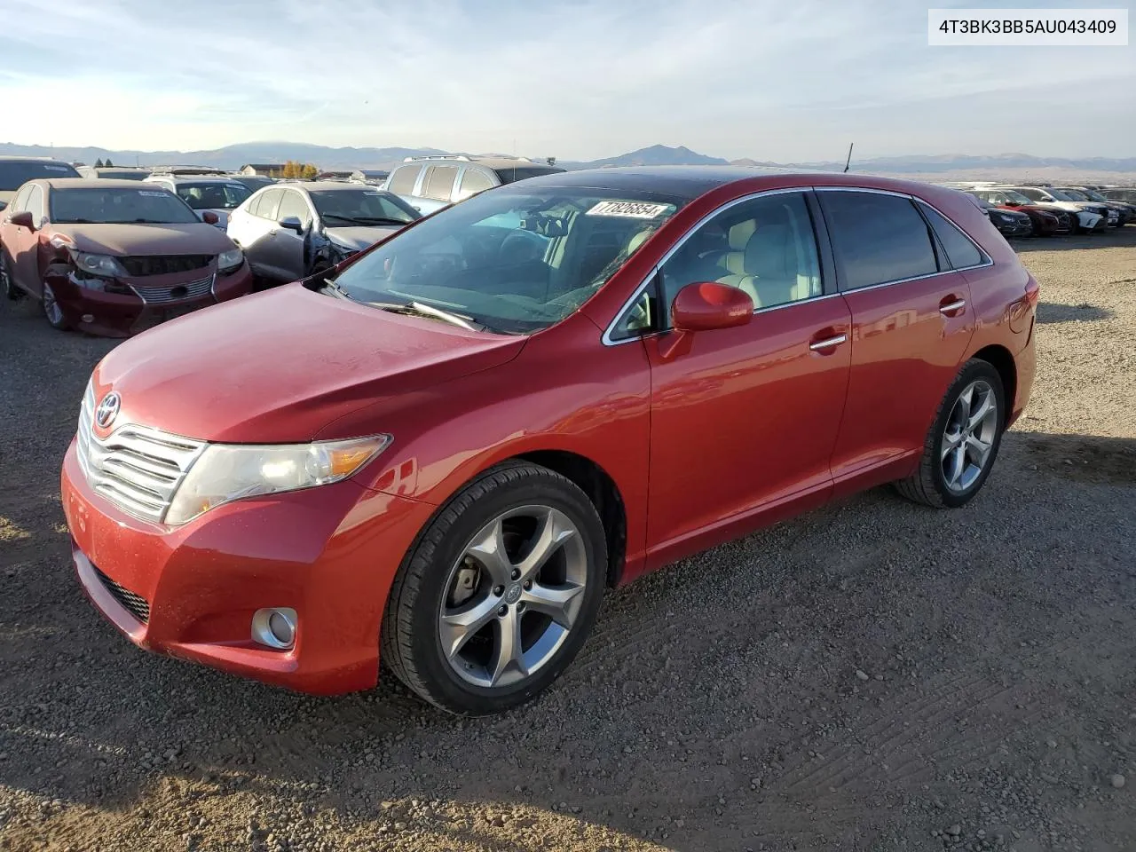 2010 Toyota Venza VIN: 4T3BK3BB5AU043409 Lot: 77826854