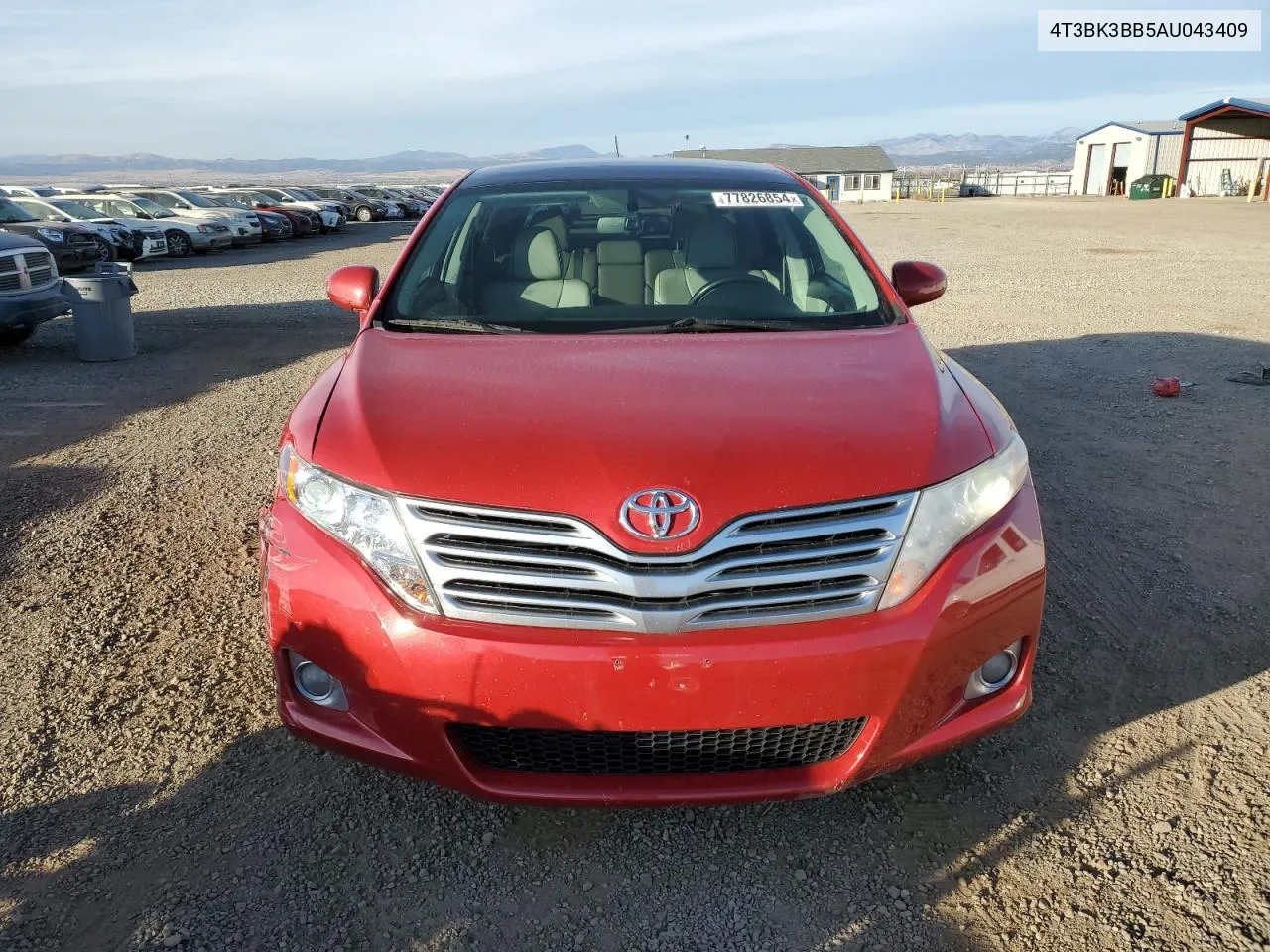 2010 Toyota Venza VIN: 4T3BK3BB5AU043409 Lot: 77826854