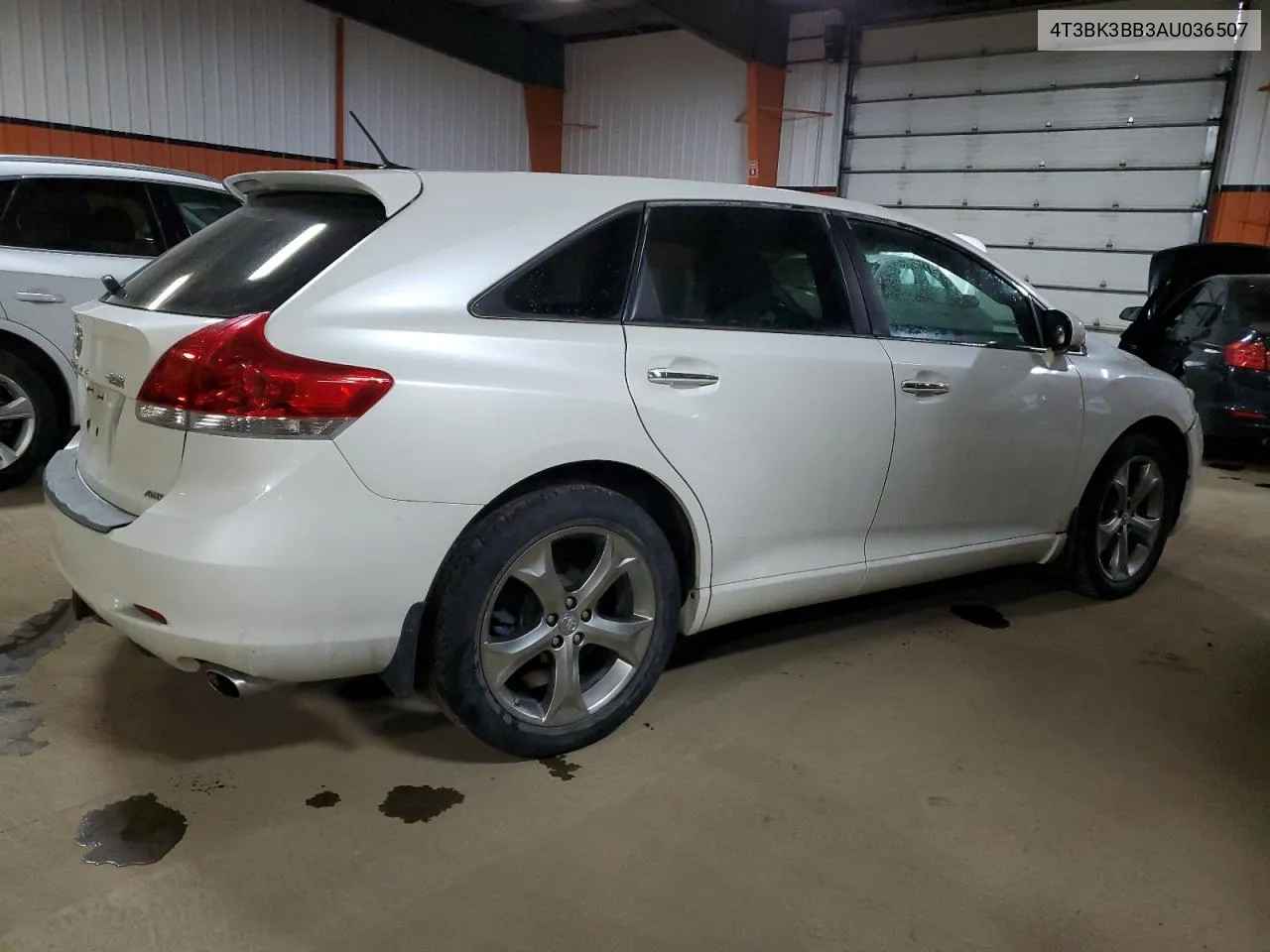 2010 Toyota Venza VIN: 4T3BK3BB3AU036507 Lot: 81049074