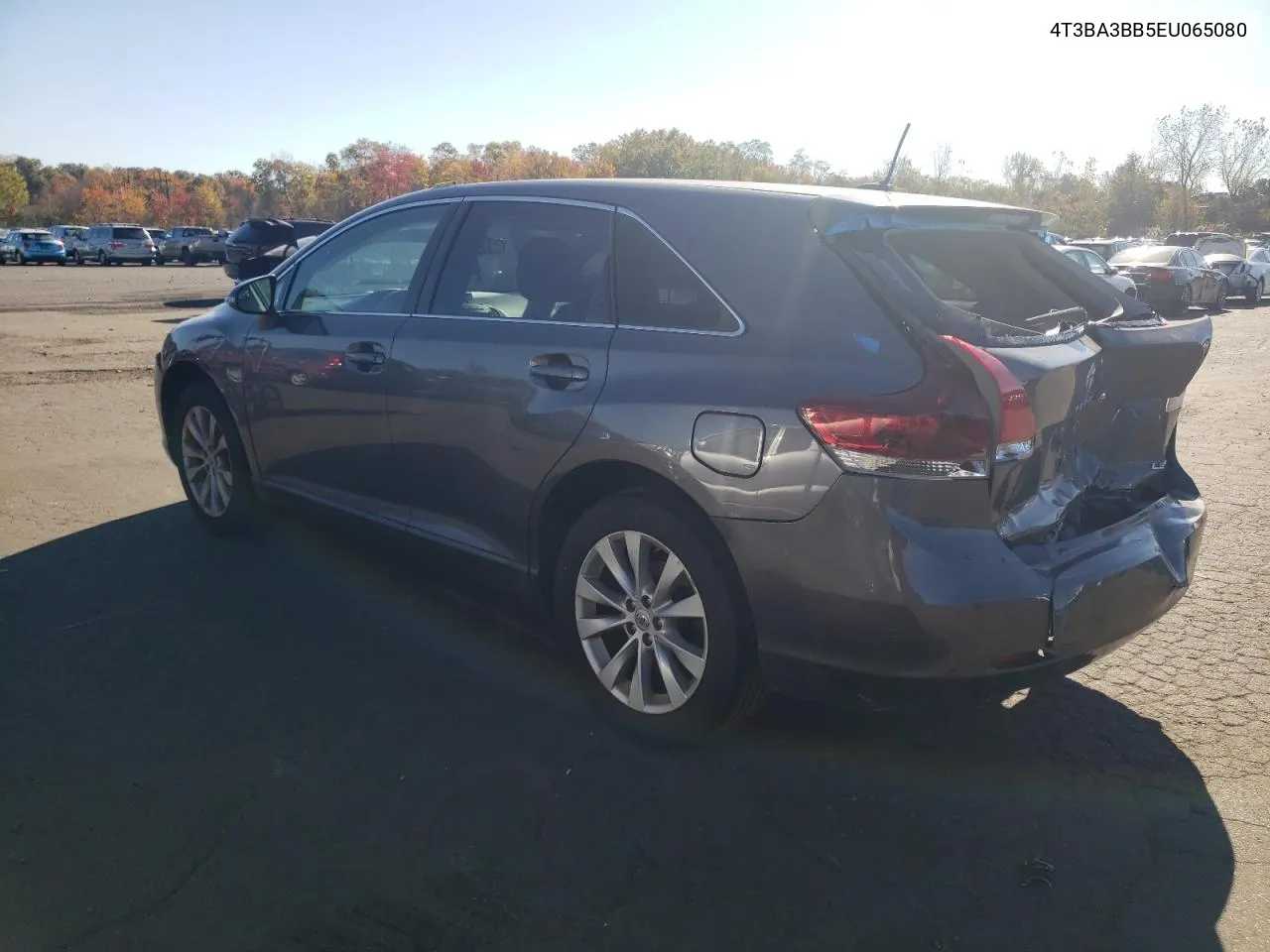 2014 Toyota Venza Le VIN: 4T3BA3BB5EU065080 Lot: 76879584