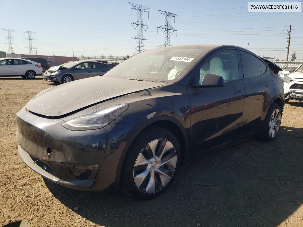 2024 Tesla Model Y VIN: 7SAYGAEE2RF081416 Lot: 75333844