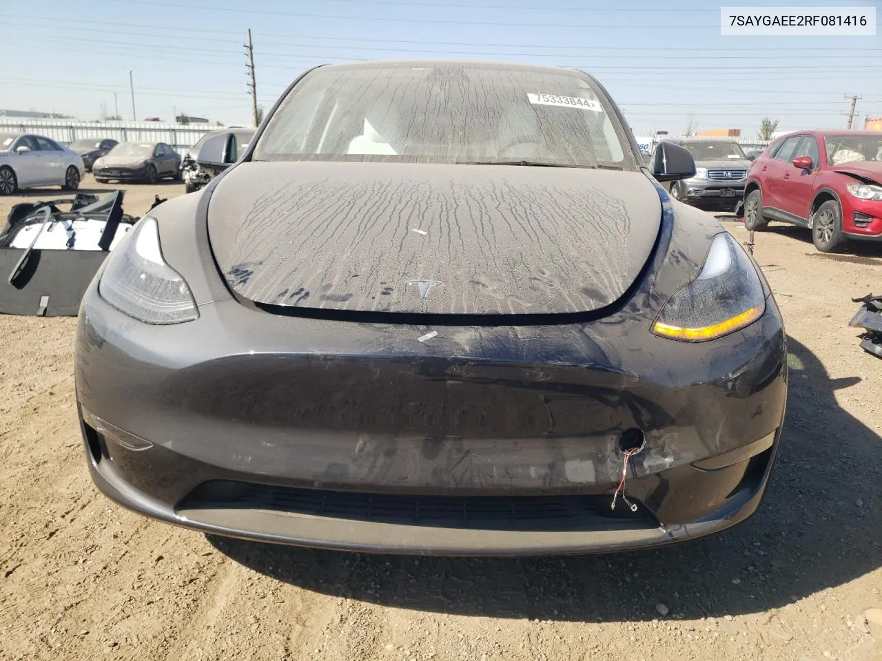 2024 Tesla Model Y VIN: 7SAYGAEE2RF081416 Lot: 75333844