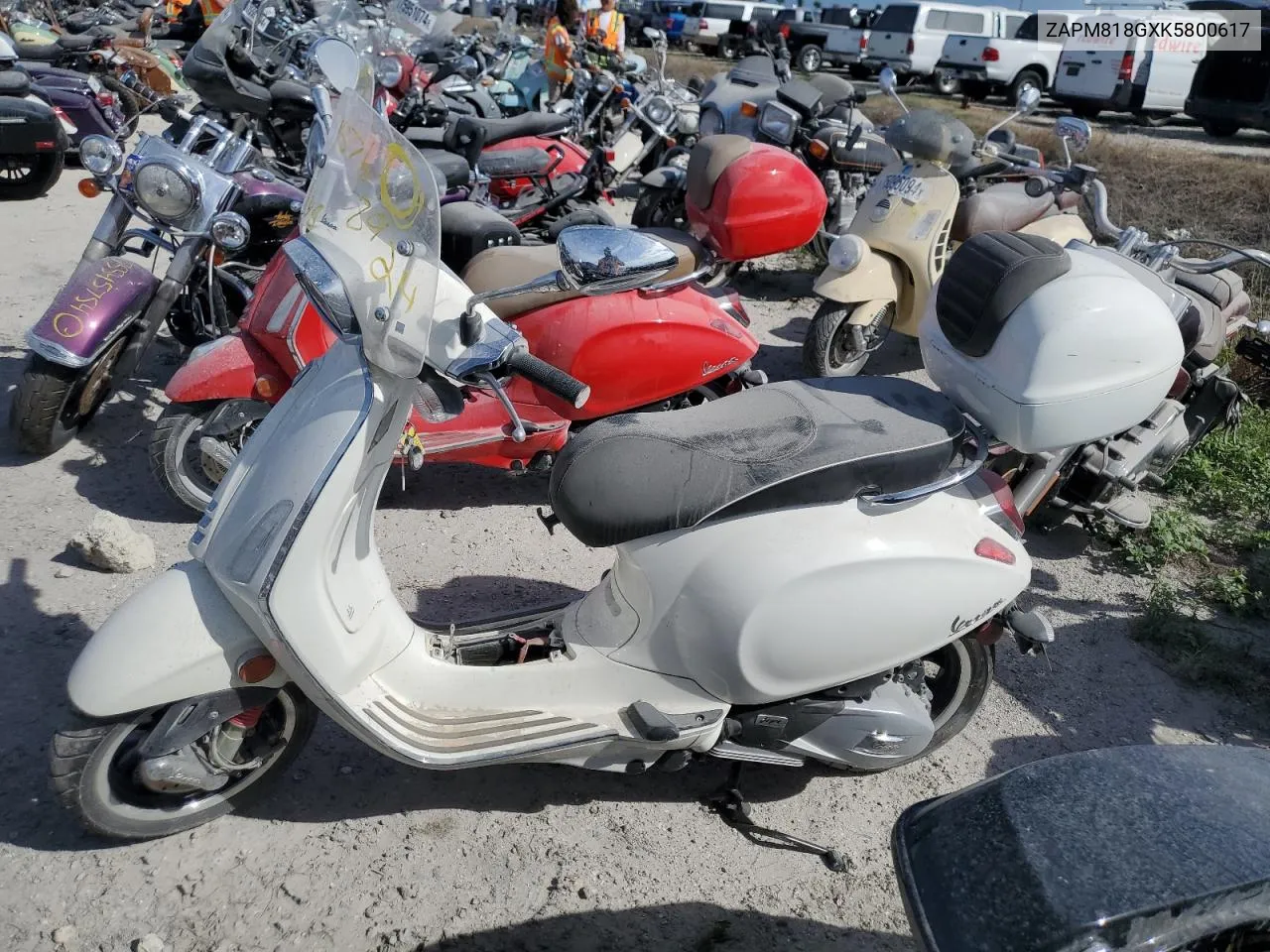 2019 Vespa Scooter VIN: ZAPM818GXK5800617 Lot: 75768924