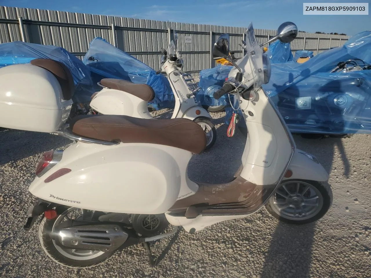 2023 Vespa Primavera/Sprint 150 VIN: ZAPM818GXP5909103 Lot: 76514364