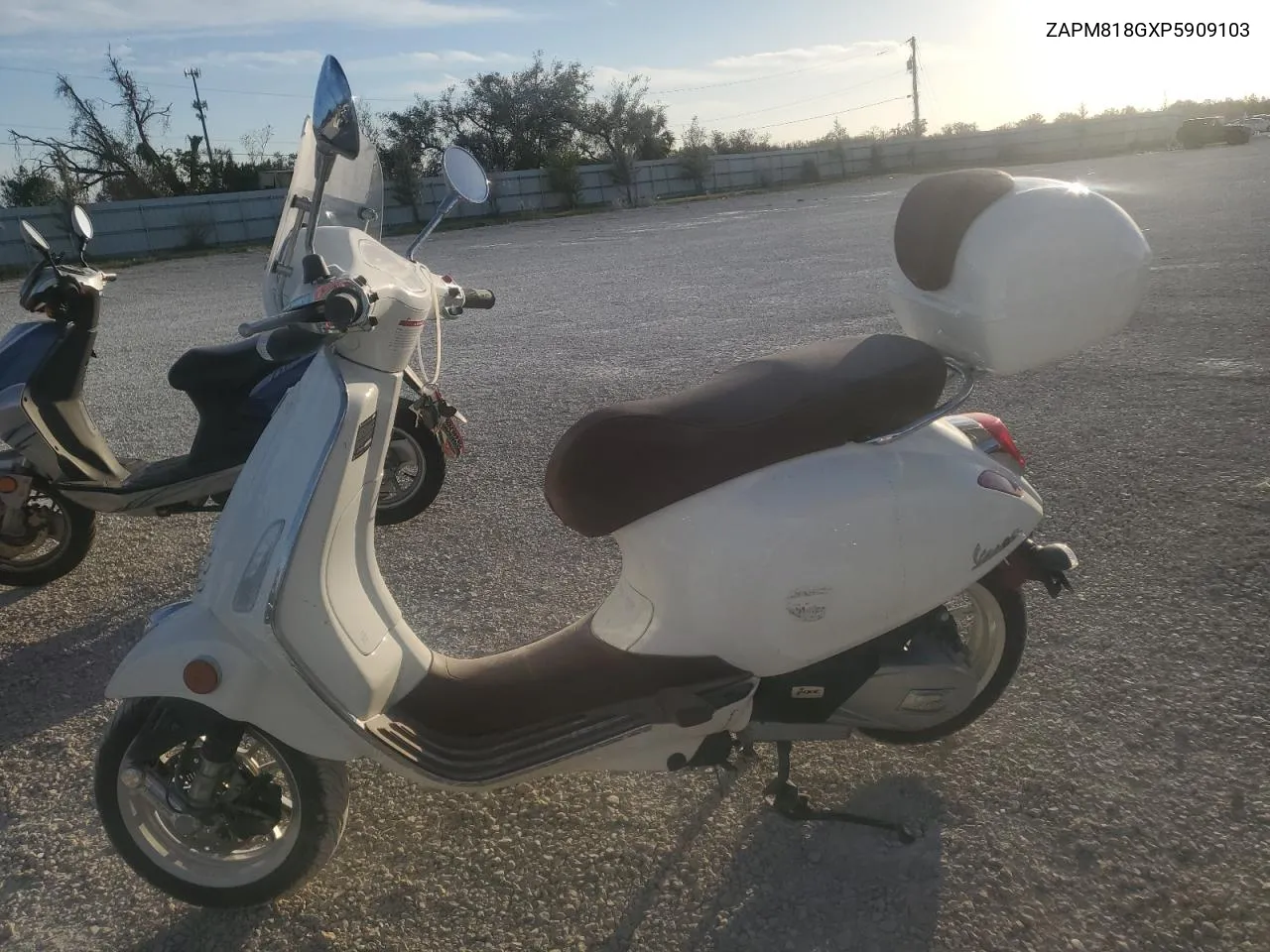 2023 Vespa Primavera/Sprint 150 VIN: ZAPM818GXP5909103 Lot: 76514364