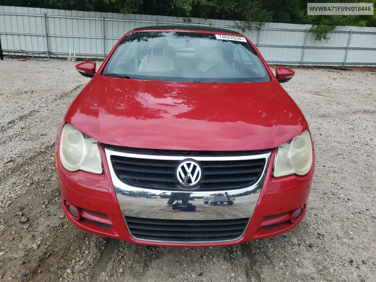 2009 Volkswagen Eos Turbo VIN: WVWBA71F59V018446 Lot: 74622634