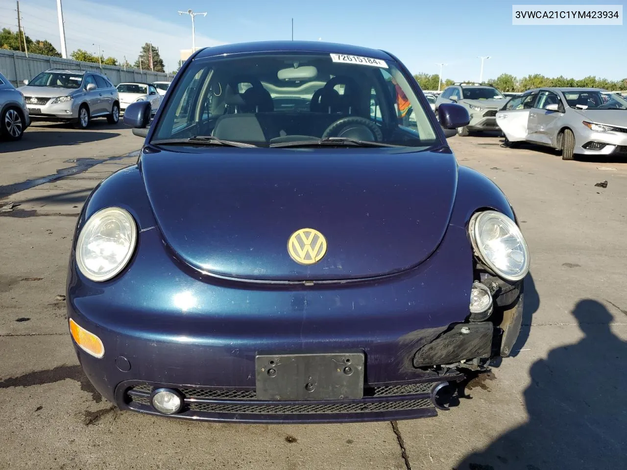 2000 Volkswagen New Beetle Gls VIN: 3VWCA21C1YM423934 Lot: 72615184