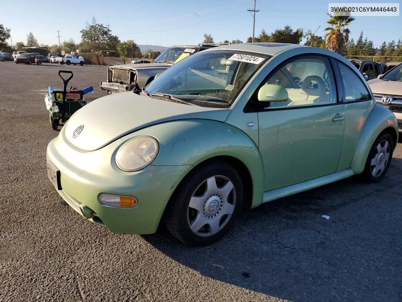 2000 Volkswagen New Beetle Gls VIN: 3VWCC21C6YM446443 Lot: 77501024