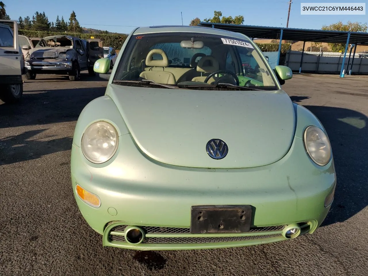 2000 Volkswagen New Beetle Gls VIN: 3VWCC21C6YM446443 Lot: 77501024