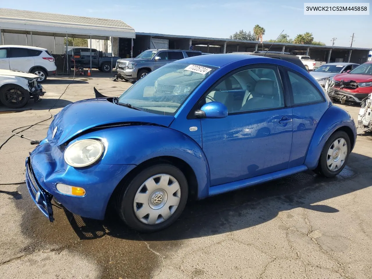 2002 Volkswagen New Beetle Gls VIN: 3VWCK21C52M445858 Lot: 77225724