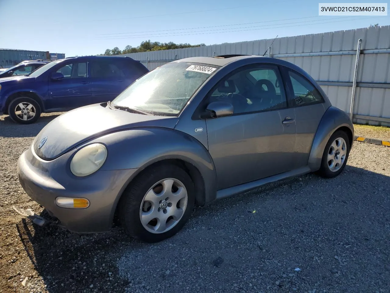 2002 Volkswagen New Beetle Gls VIN: 3VWCD21C52M407413 Lot: 79768824