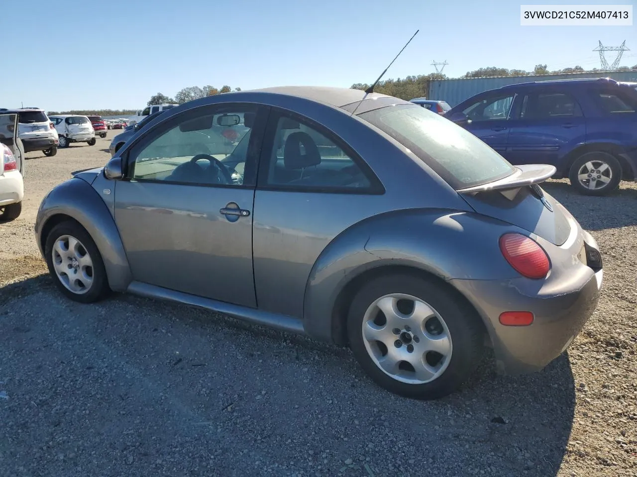 2002 Volkswagen New Beetle Gls VIN: 3VWCD21C52M407413 Lot: 79768824