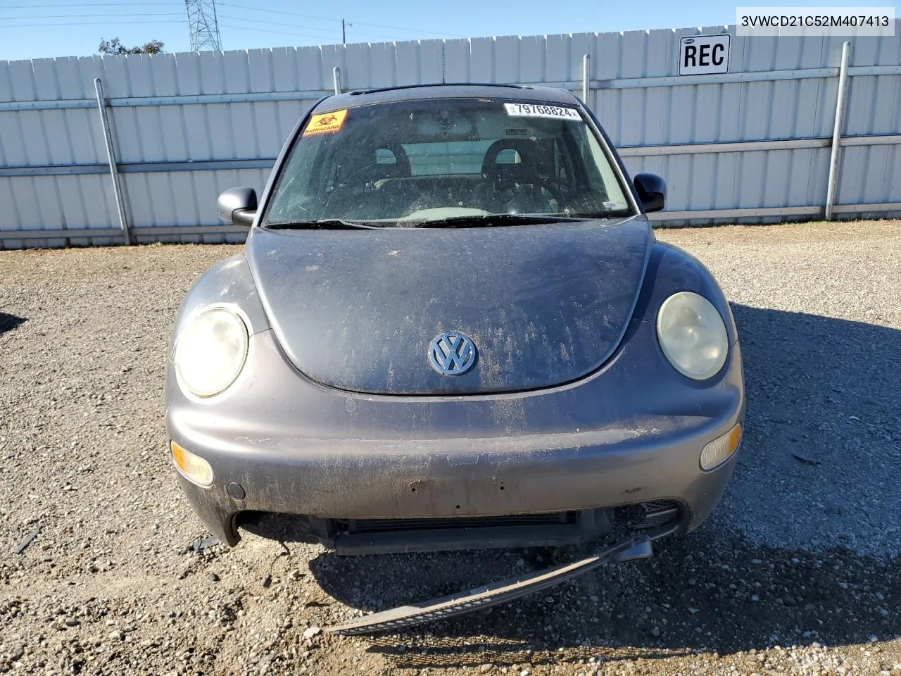 2002 Volkswagen New Beetle Gls VIN: 3VWCD21C52M407413 Lot: 79768824