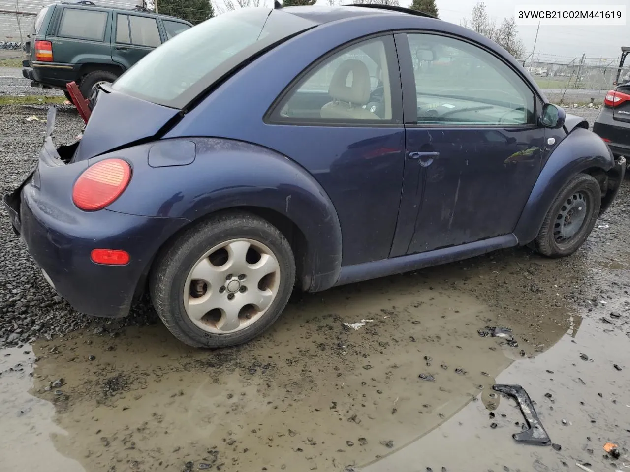 2002 Volkswagen New Beetle Gls VIN: 3VWCB21C02M441619 Lot: 82032563