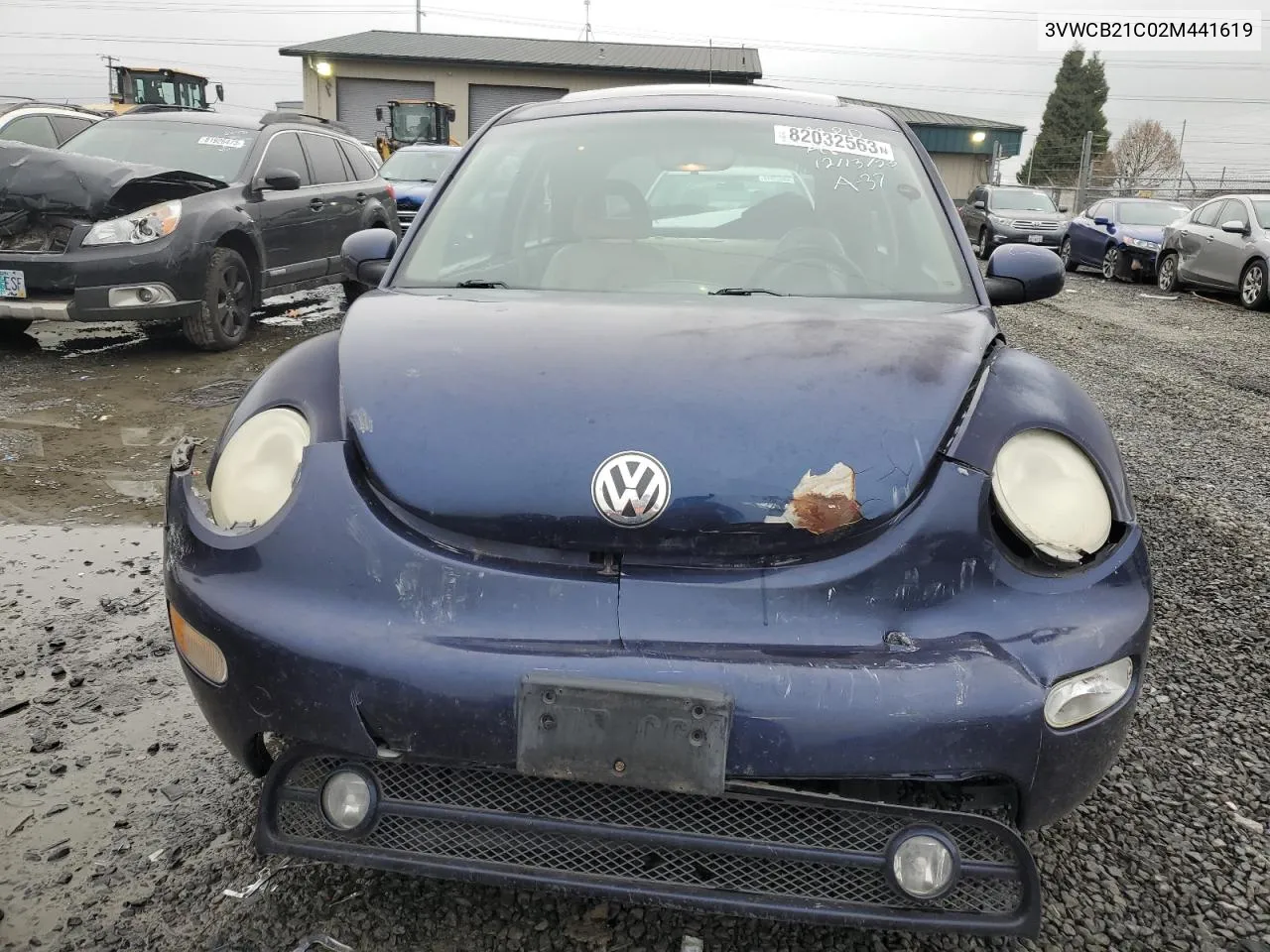 2002 Volkswagen New Beetle Gls VIN: 3VWCB21C02M441619 Lot: 82032563