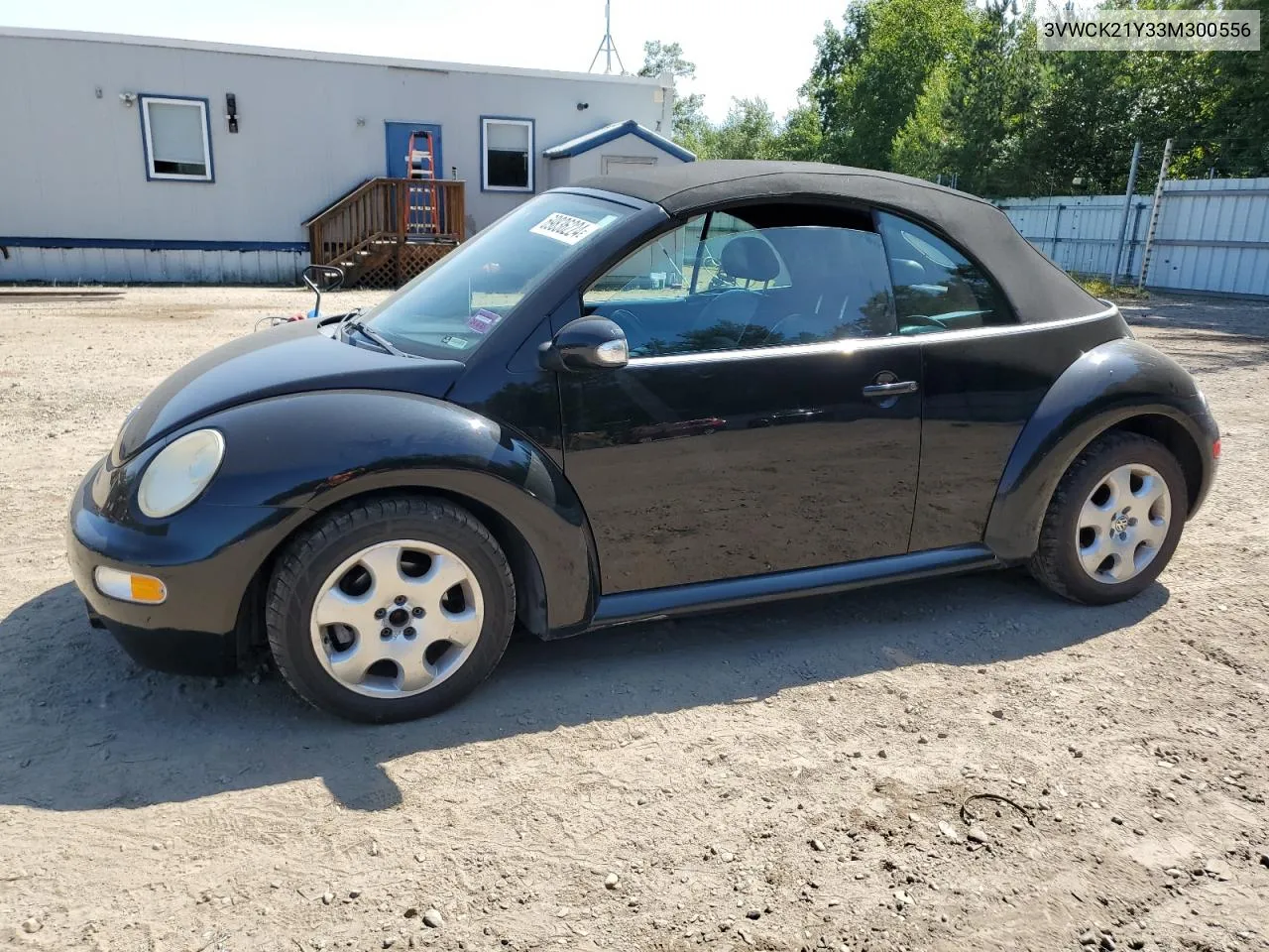 2003 Volkswagen New Beetle Gls VIN: 3VWCK21Y33M300556 Lot: 69836224