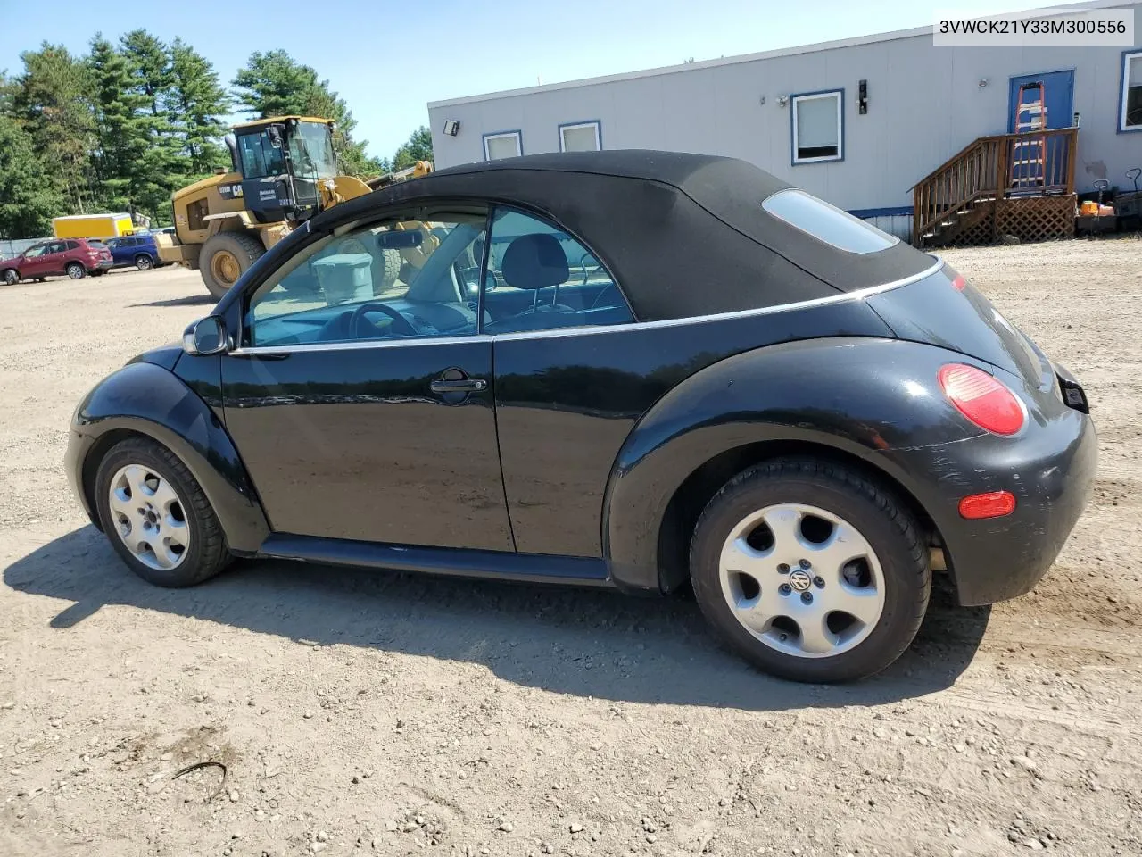 2003 Volkswagen New Beetle Gls VIN: 3VWCK21Y33M300556 Lot: 69836224