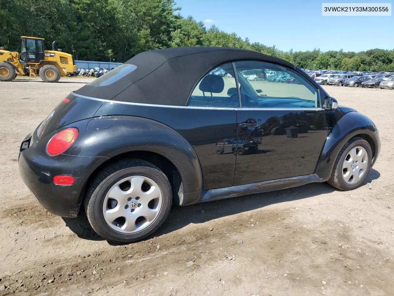 2003 Volkswagen New Beetle Gls VIN: 3VWCK21Y33M300556 Lot: 69836224