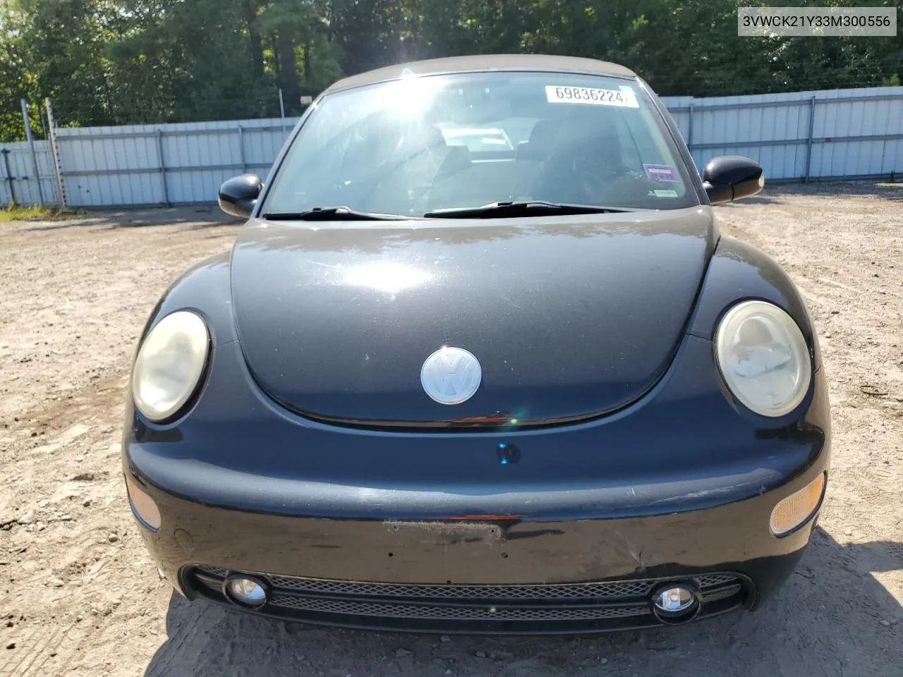 2003 Volkswagen New Beetle Gls VIN: 3VWCK21Y33M300556 Lot: 69836224