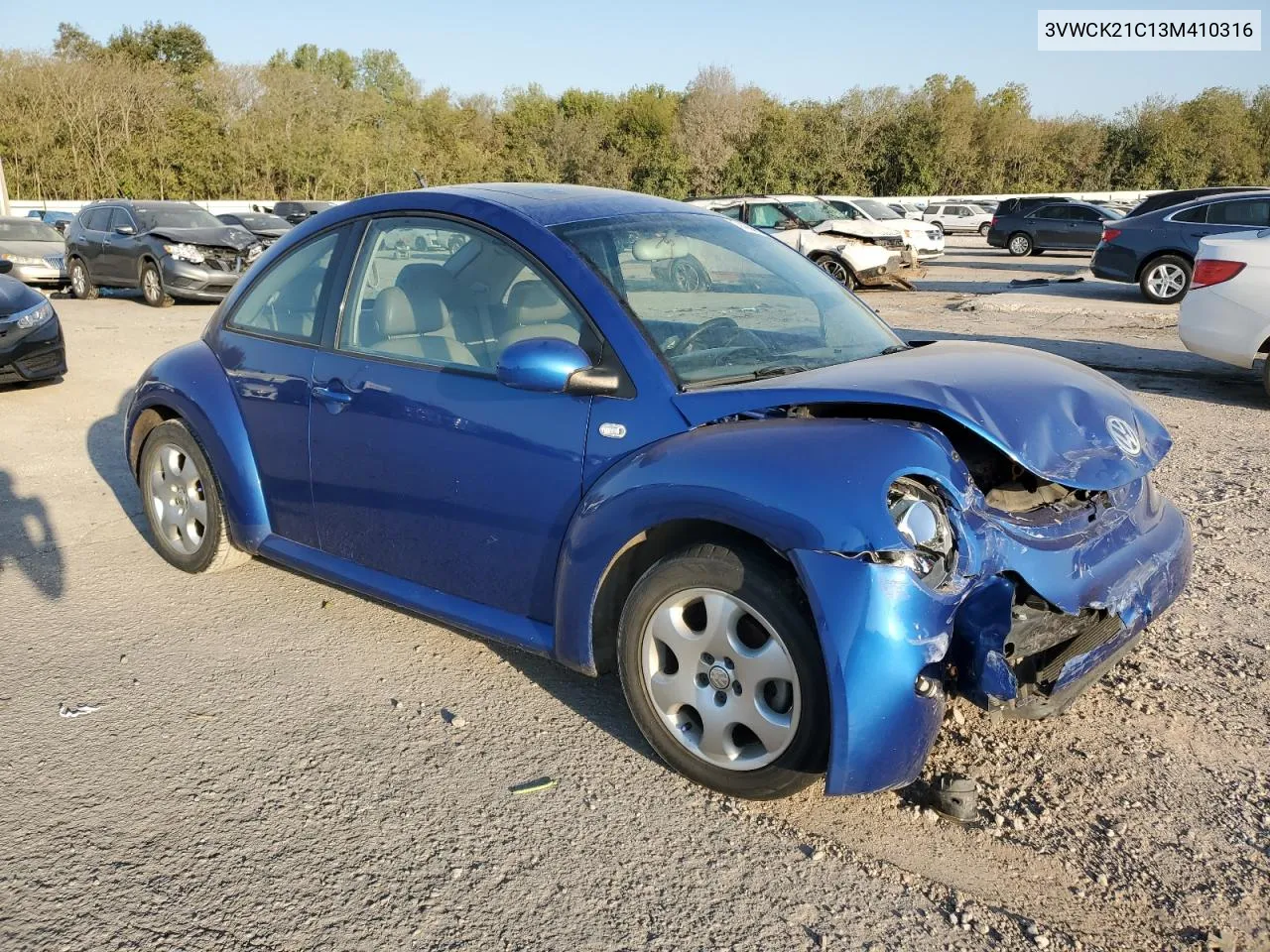 2003 Volkswagen New Beetle Gls VIN: 3VWCK21C13M410316 Lot: 74364084