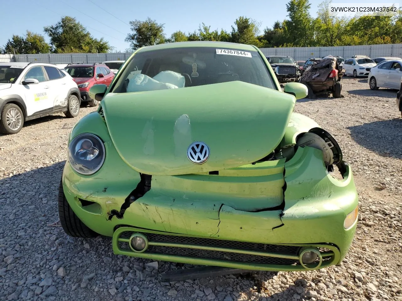 2003 Volkswagen New Beetle Gls VIN: 3VWCK21C23M437542 Lot: 74367844