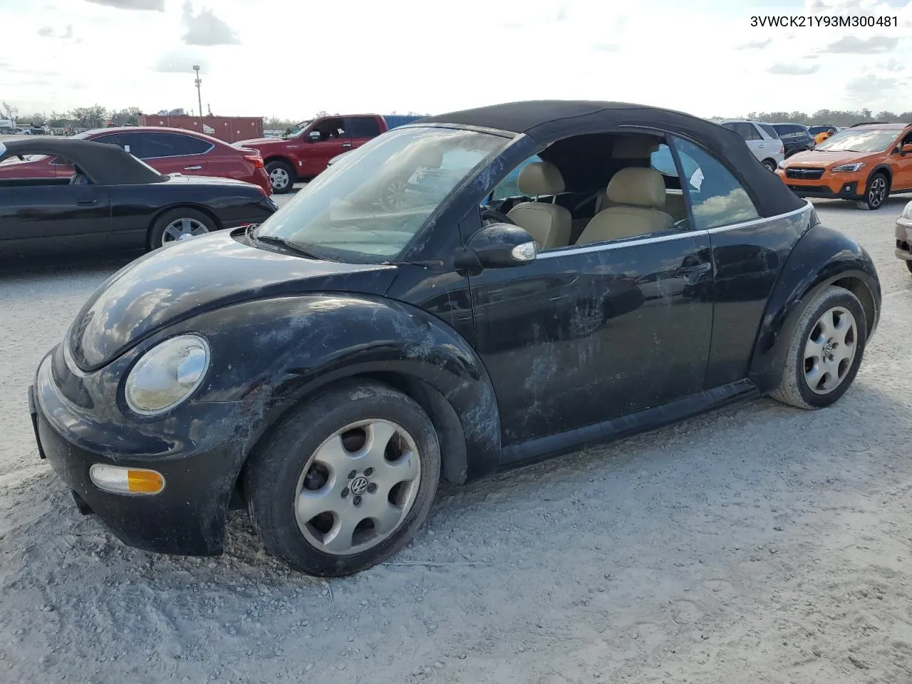 2003 Volkswagen New Beetle Gls VIN: 3VWCK21Y93M300481 Lot: 76277544