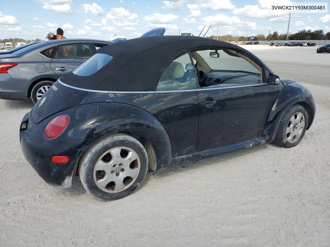 2003 Volkswagen New Beetle Gls VIN: 3VWCK21Y93M300481 Lot: 76277544