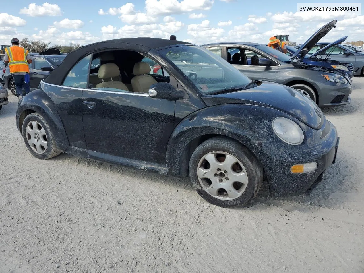 2003 Volkswagen New Beetle Gls VIN: 3VWCK21Y93M300481 Lot: 76277544