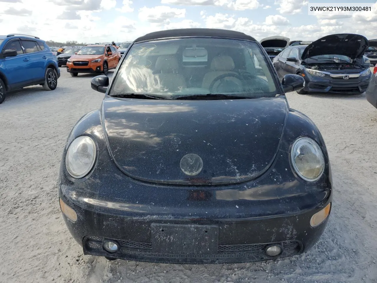 2003 Volkswagen New Beetle Gls VIN: 3VWCK21Y93M300481 Lot: 76277544